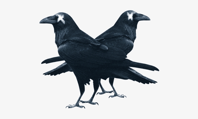 Raven Updated, transparent png download