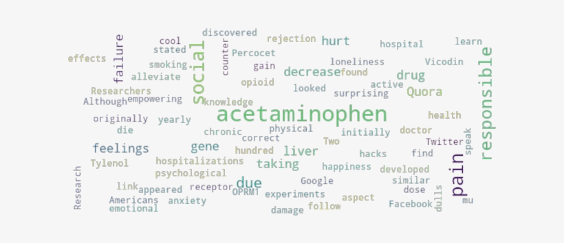 Article Analysis - Document, transparent png download