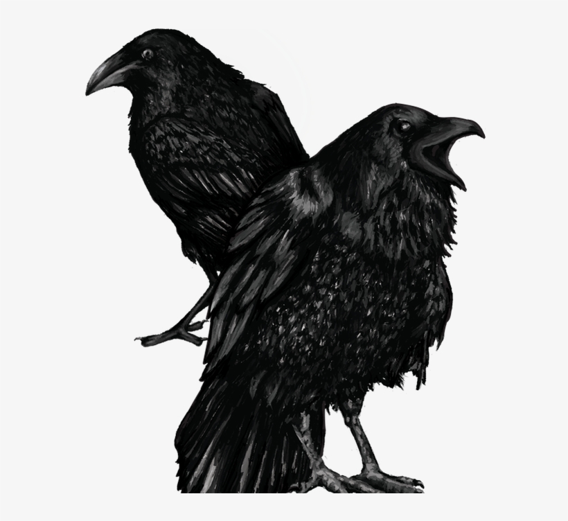 Multimedia Illustration - American Crow, transparent png download