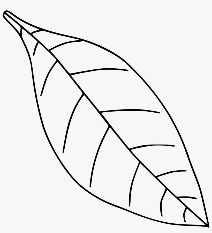 Plain Simple Leaf 2 Icons Png Free Png And Icons Downloads, transparent png download