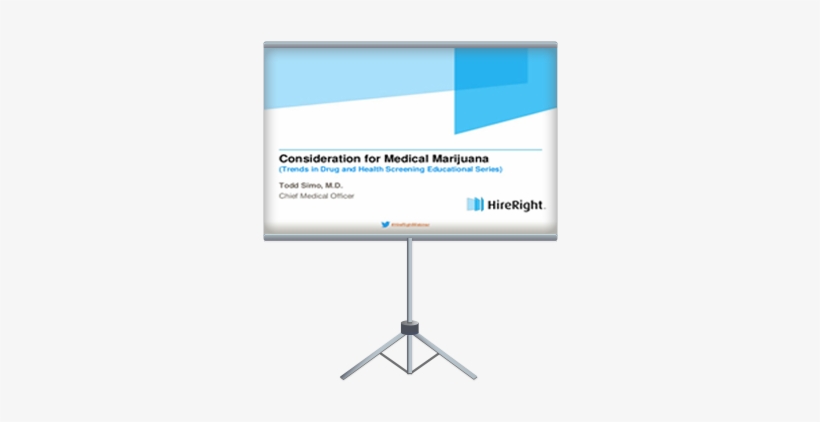 Background Check Considerations For Medical Marijuana - Evergreen Shipping Agency (america) Corp., transparent png download