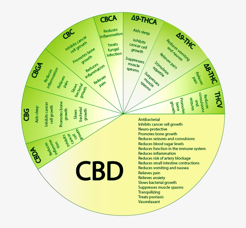 Cannabinoids2 - Cannabinoids Benefits, transparent png download
