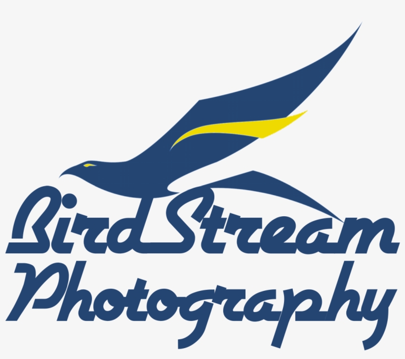 General Electric - Photography, transparent png download