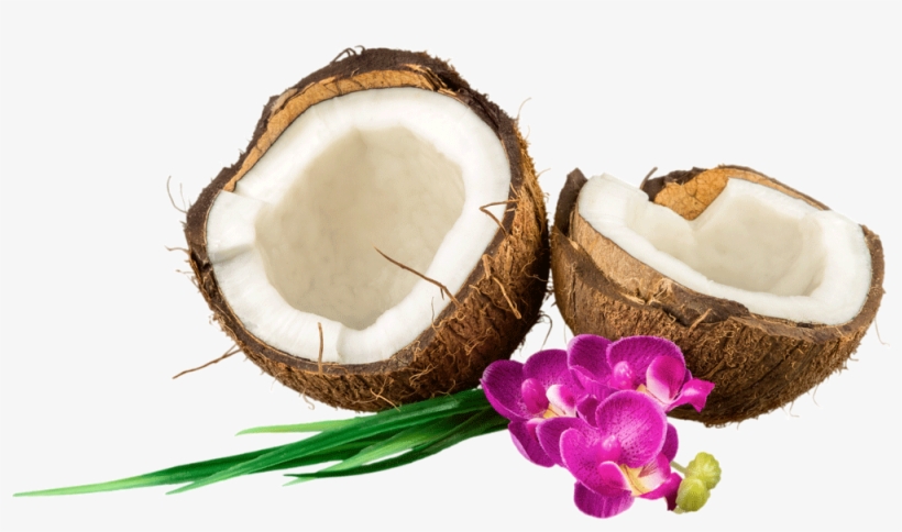 New Ways To Use Coconut Oil - Tropical Climate, transparent png download