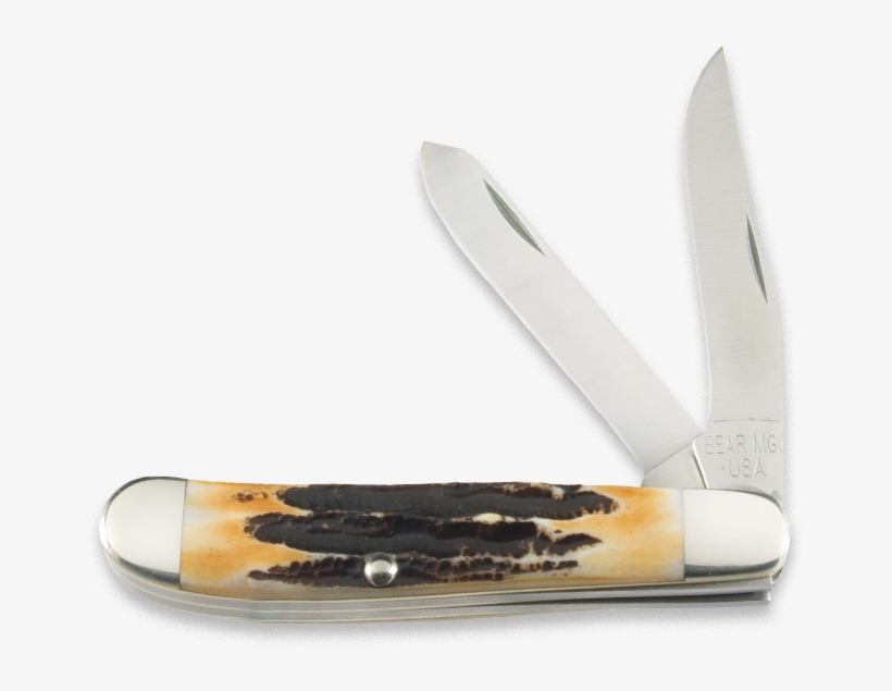 Bear 507, transparent png download