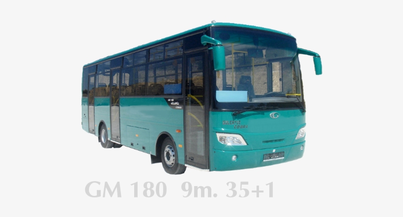 Man Buses - Tour Bus Service, transparent png download