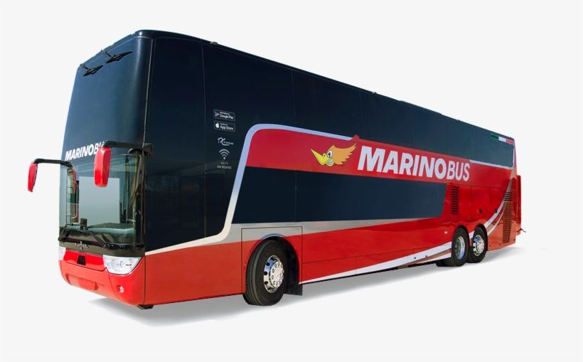 Bologna - Marinobus Offerte, transparent png download
