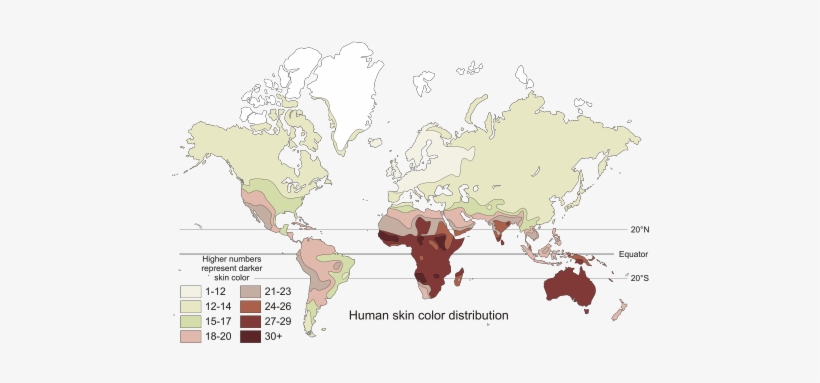 Mapamundi Con La Distribución Del Color De La Piel - World Map Chocolate, transparent png download