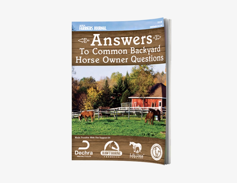 American Farriers Journal's Special 14-page Eguide - Peterson, Tracie: Ein Neuer Traum Erwacht (3. Band), transparent png download