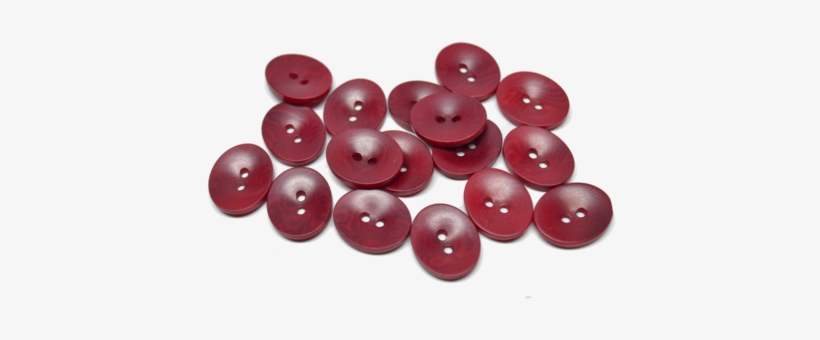Corozo Small Oval - Circle, transparent png download
