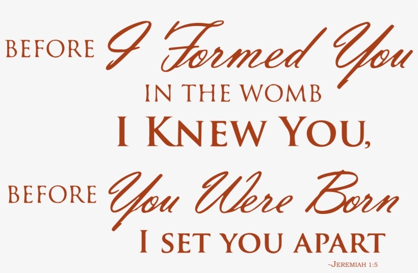 5 Before I Formed You In The Wombâ€¦ Vinyl Decal Sticker - Wish I Knew: Stories And Strategies For Being Your, transparent png download