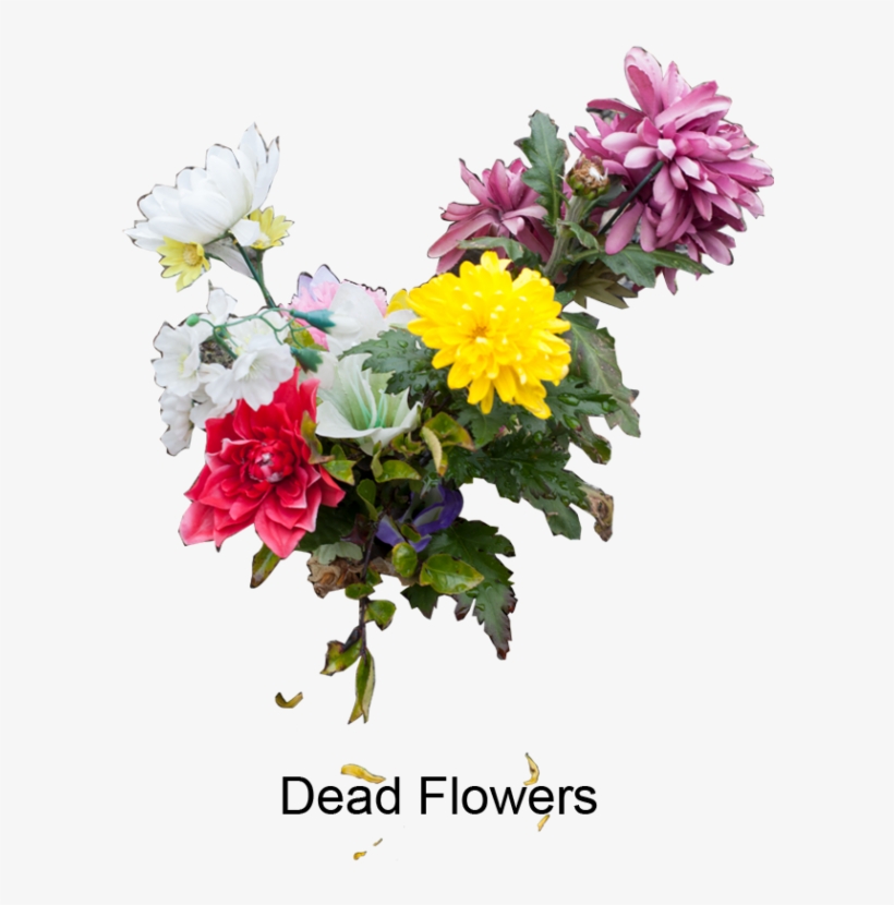 Portfolio - Bouquet, transparent png download