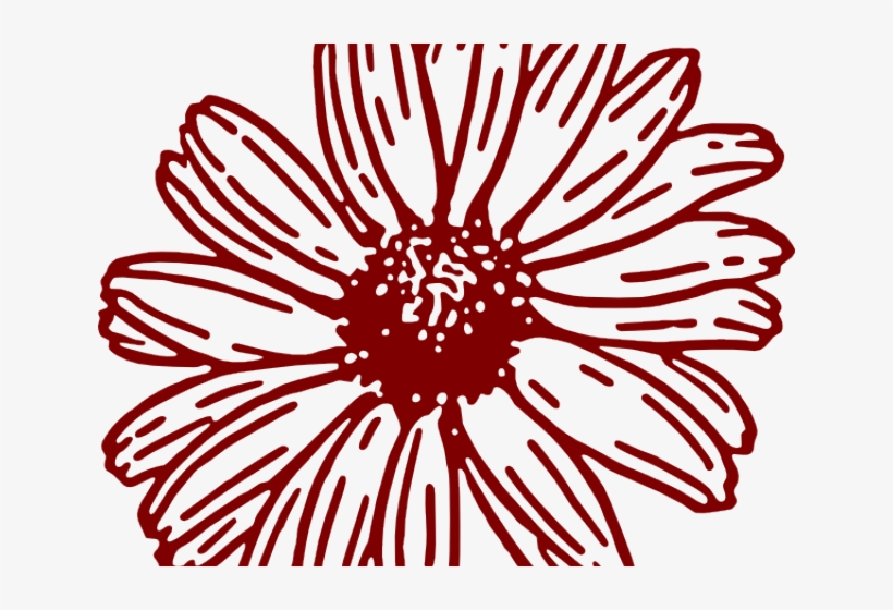 Maroon Flower Cliparts - Gerbera Daisy Gerber Daisy Clipart, transparent png download