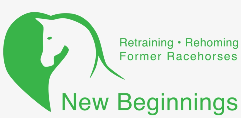 Leave - Question, transparent png download