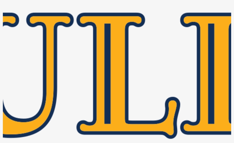 Bully, transparent png download