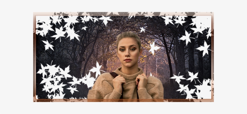 Make An Art Using One Of These Stock Photos - Adip, transparent png download