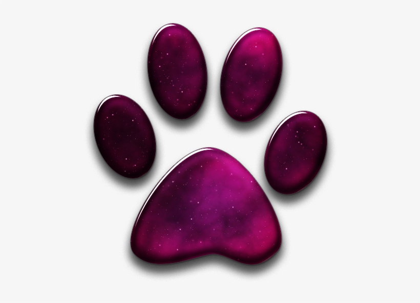 016197 Glossy Space Icon Animals Animal Cat Print - Paw, transparent png download