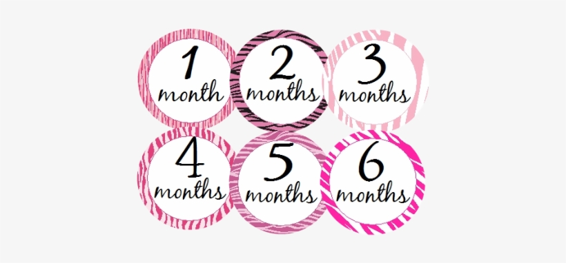 #one-pzb Pink Zebra Onesie® Labels - Circle, transparent png download