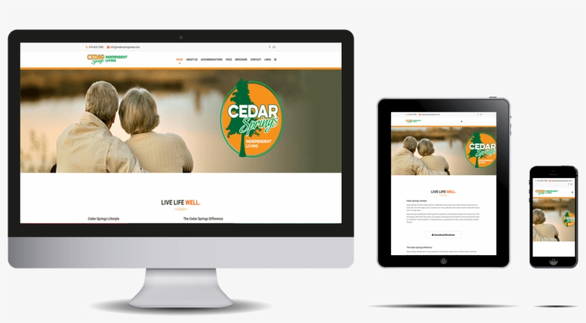 Cedarspring - Online Advertising, transparent png download