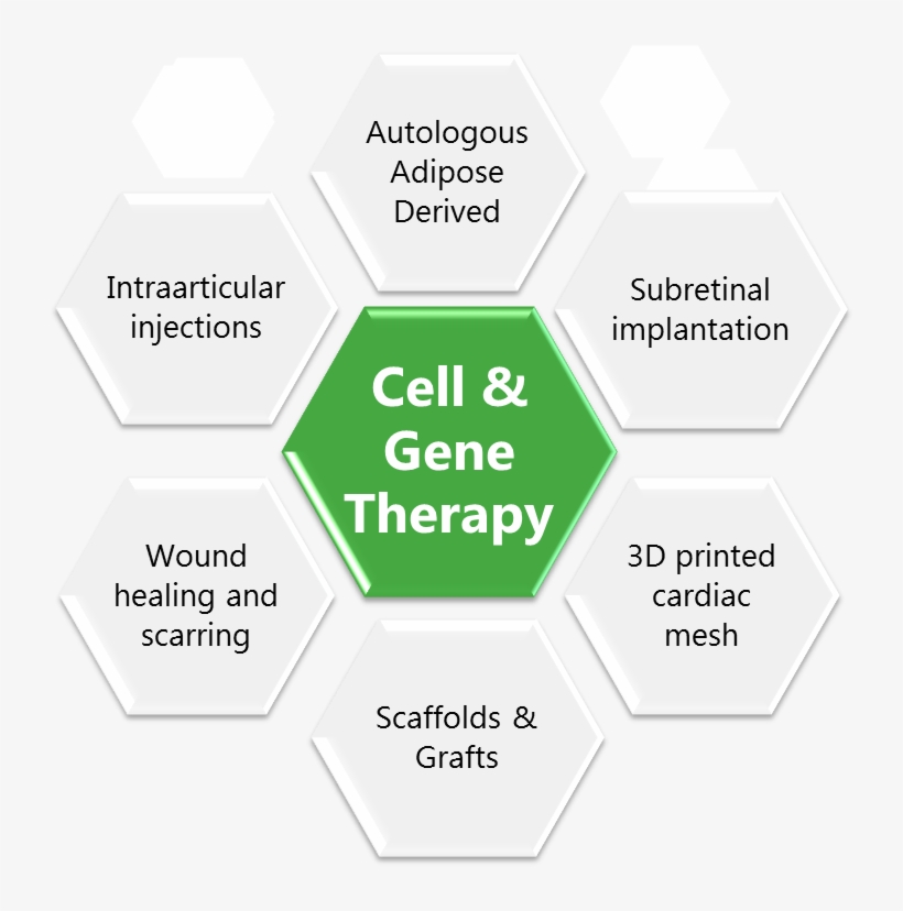 Providing Regenerative Solutions - Chart Of Accounts, transparent png download