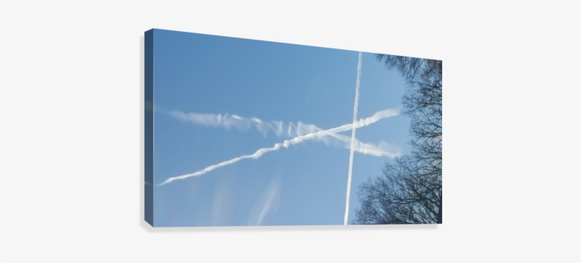 Watching Airplanes Canvas Print - Tree, transparent png download