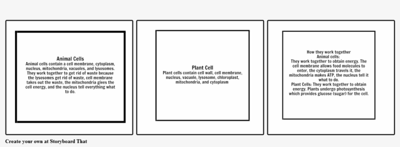 Animal And Plant Cells - Document, transparent png download