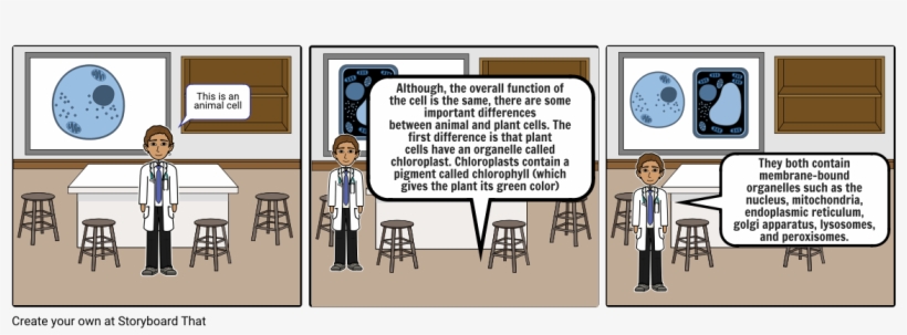 Plant And Animal Cells - Cartoon, transparent png download