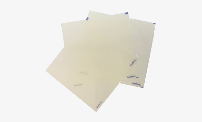 Image - Fly Web Glue Board 10 Pack (2-pack (20 Count Total)), transparent png download