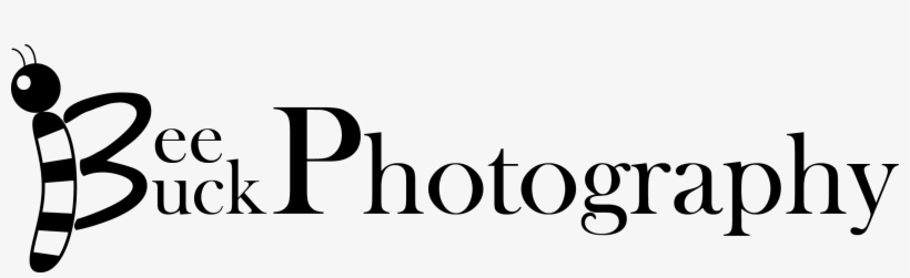 Bee Buck Photography - Paragraph Html, transparent png download