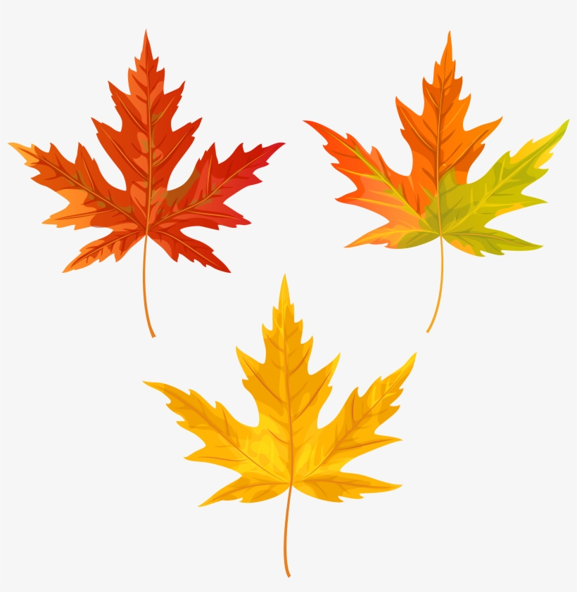 Fall Leaves Png Clip Art Image, Is Available For Free, transparent png download