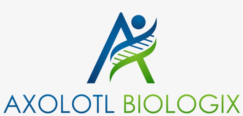 Axolotl Png - Axolotl Biologix, transparent png download