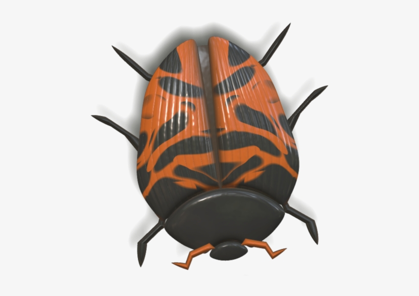 Ladybird Beetle, transparent png download