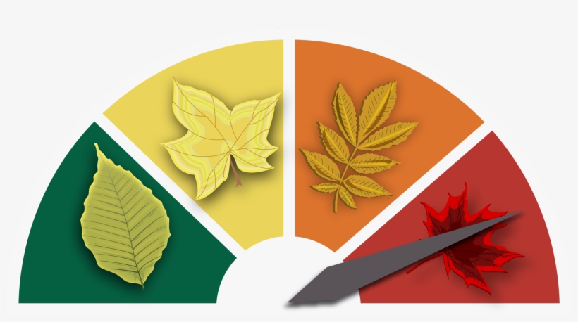 Current - Craft, transparent png download