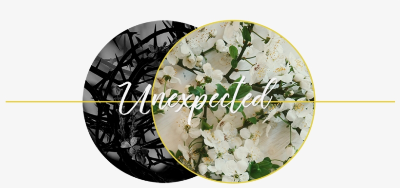 This Easter Could Be Your Unexpected Beginning - Easter, transparent png download