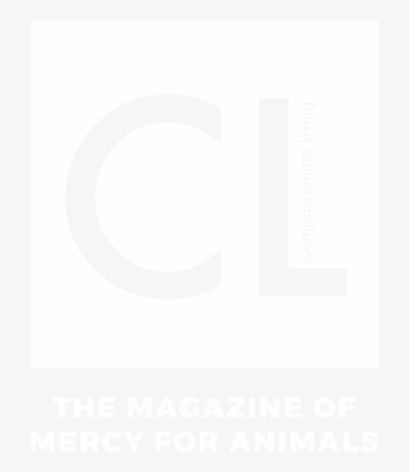 ¿qué Pasa, Walmart - Mercy For Animals, transparent png download