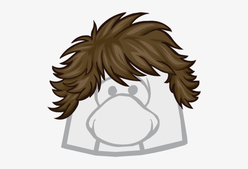 The Flip Clothing Icon Id 1162 - Club Penguin The Flip, transparent png download