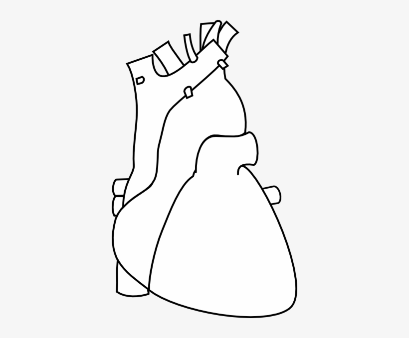 How To Set Use White Heart Outline Clipart - Clip Art, transparent png download