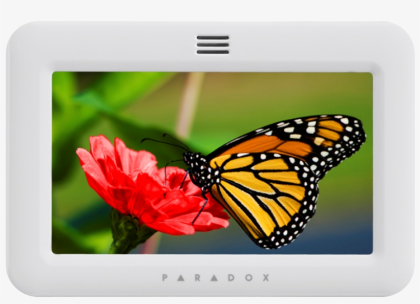 Paradox Tm50, transparent png download