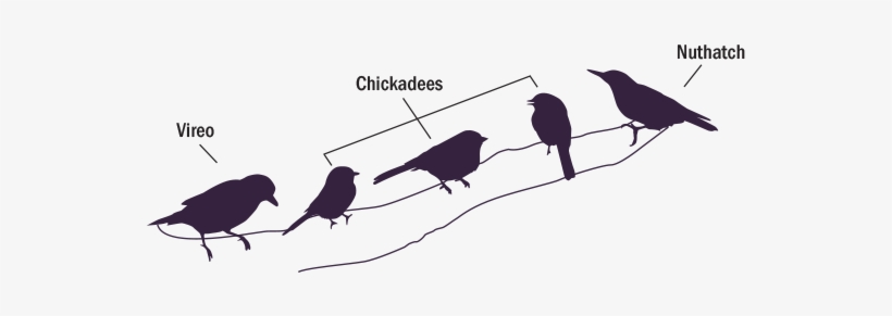This Allows Them To Keep Up With Changes In Their Flocks - Diagram, transparent png download