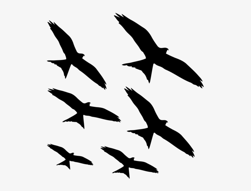 Ludosens Logo, transparent png download