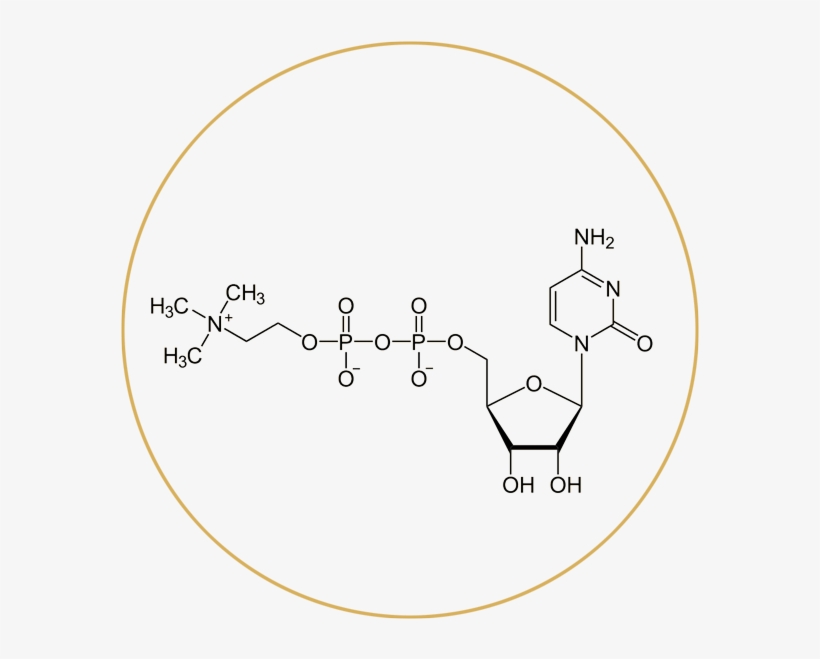 Flavin Adenine Nucleotide Structure, transparent png download