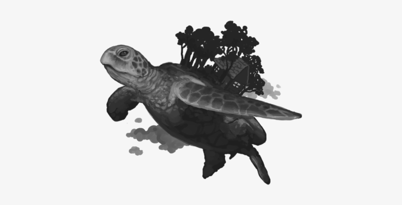 Frankerz Png - Kemp's Ridley Sea Turtle, transparent png download