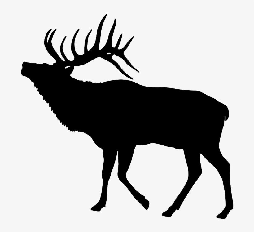 Elk, Silhouette, Cut Out, Stag, Bull - Elk Clipart, transparent png download