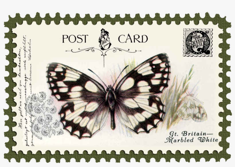 Juno Vintage Butterfly Postage Stamp 10 Mat - Stock.xchng, transparent png download