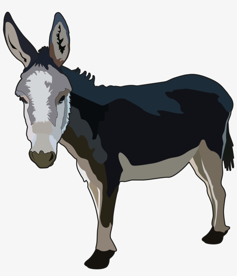 Burro, transparent png download