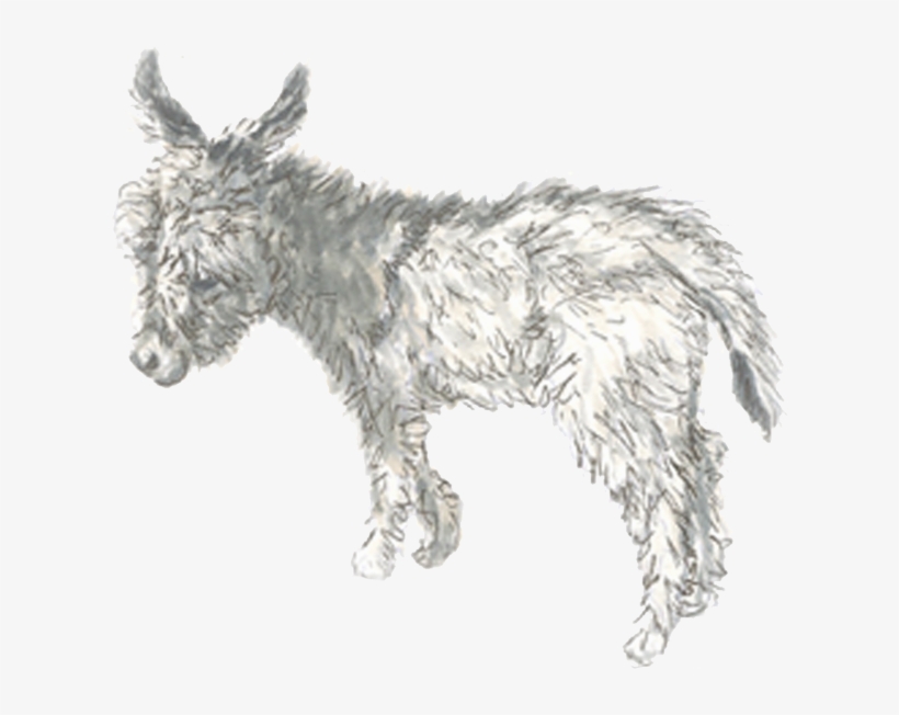 Drawn Donkey Burro - Burro, transparent png download