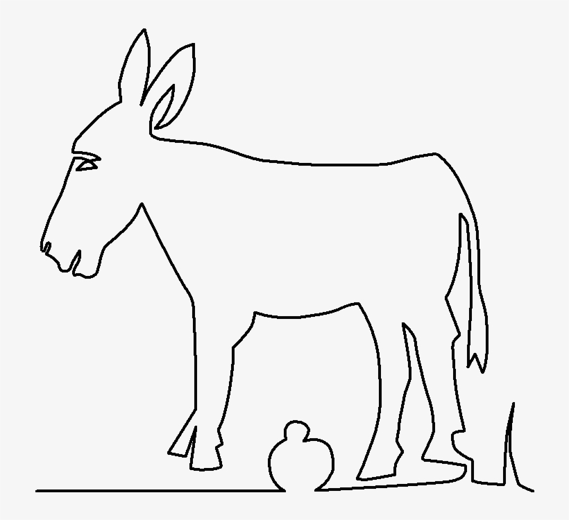 Burro - Donkey, transparent png download