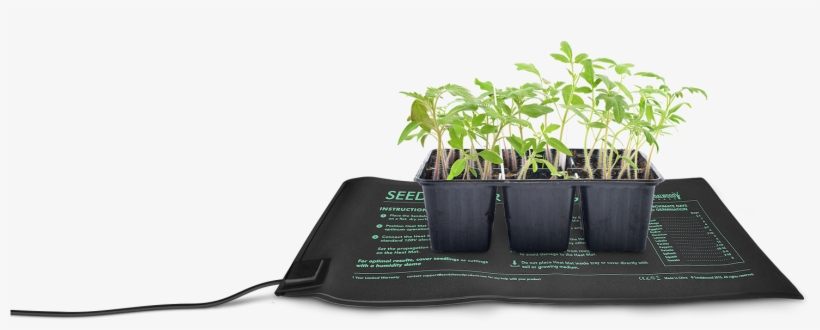 Sandalwood - Heating Mats For Seed Germination, transparent png download