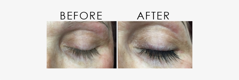 Download Our Brochure - Eyebrow Magic, transparent png download