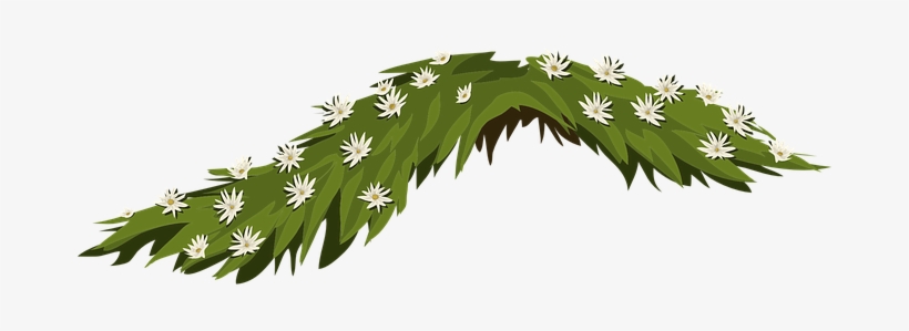 Flowers Jasmine White Leaves Arrangement F - Illustration, transparent png download